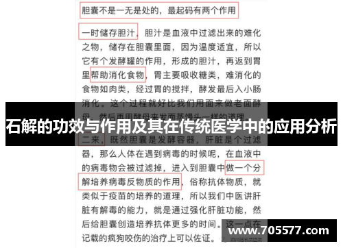 石解的功效与作用及其在传统医学中的应用分析